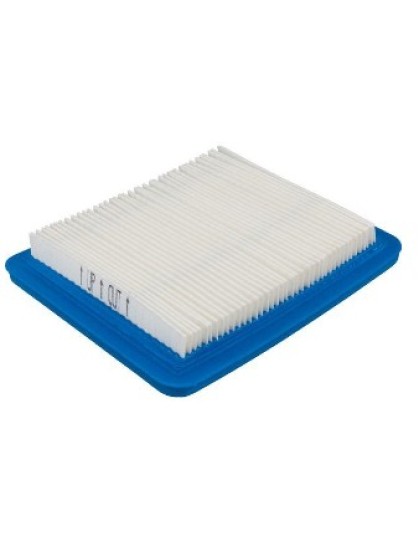 Воздушный фильтр Briggs & Stratton 491588S