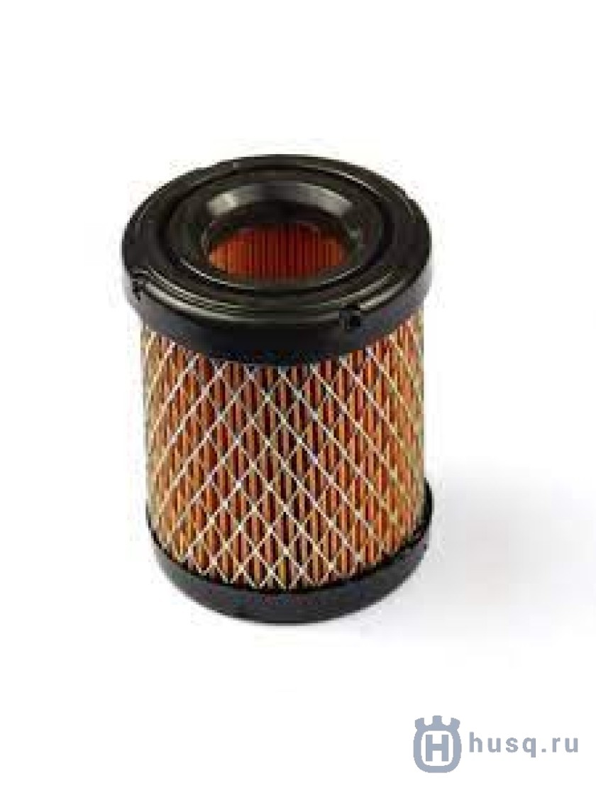 591583  в фирменном магазине Briggs & Stratton